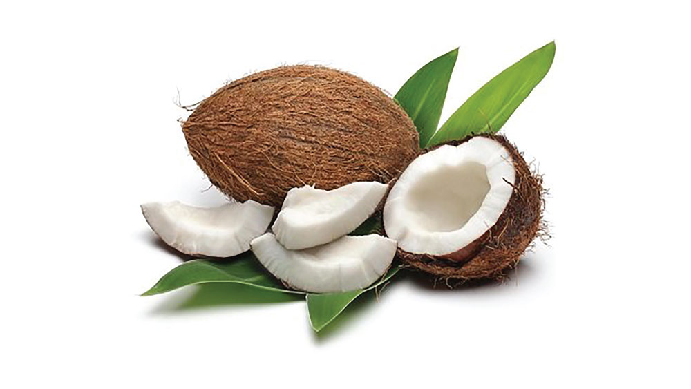 Coconut